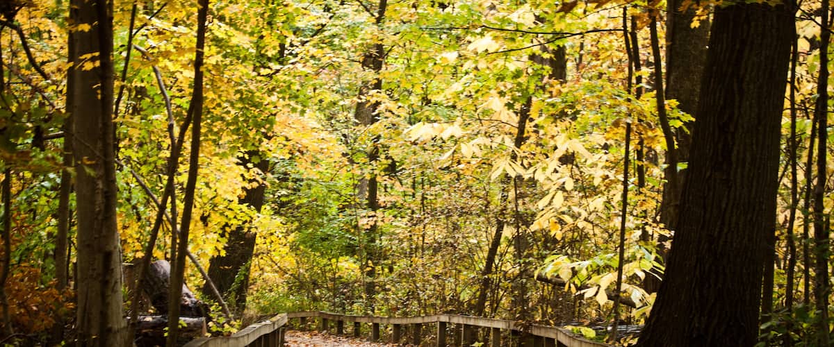 Inniswoods Metro Garden, Westerville, Ohio.