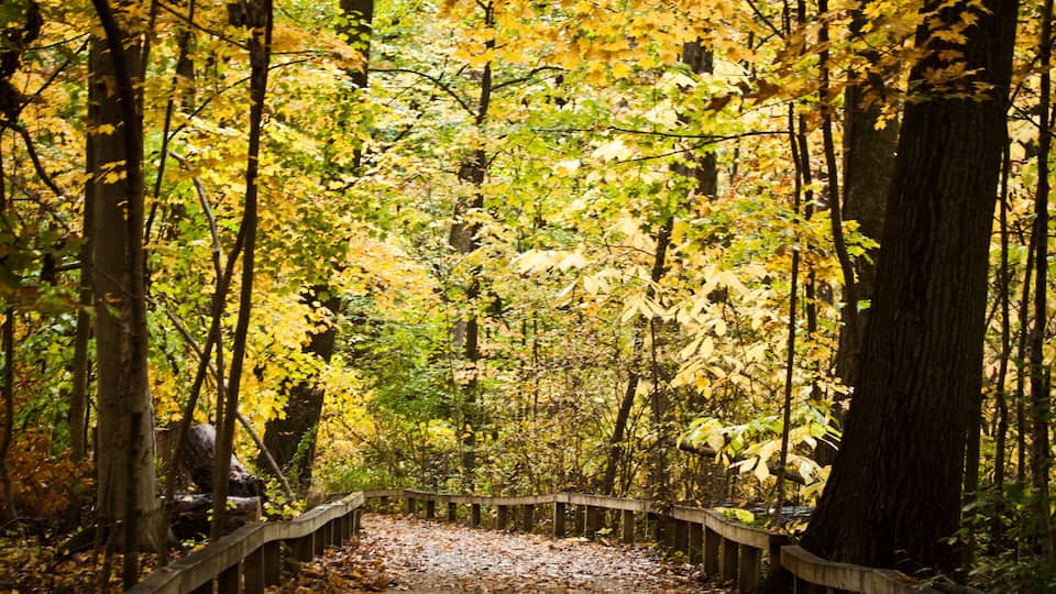 Inniswoods Metro Garden, Westerville, Ohio.