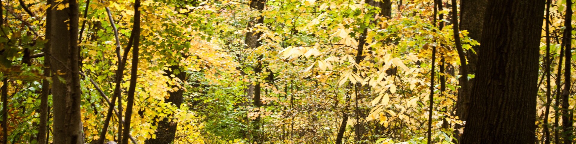 Inniswoods Metro Garden, Westerville, Ohio.