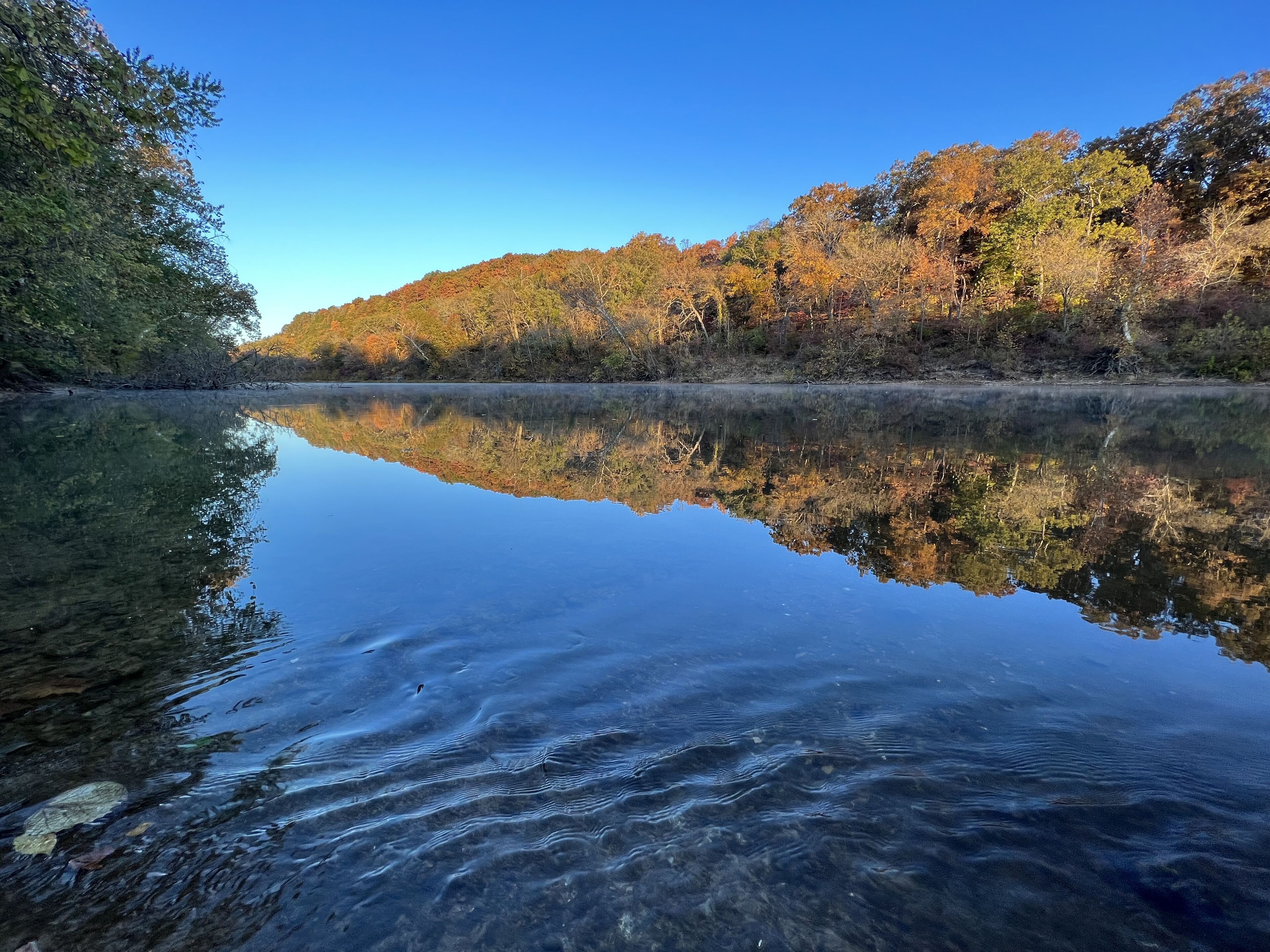 อาร์โนลด์