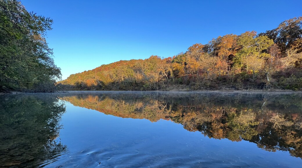 อาร์โนลด์