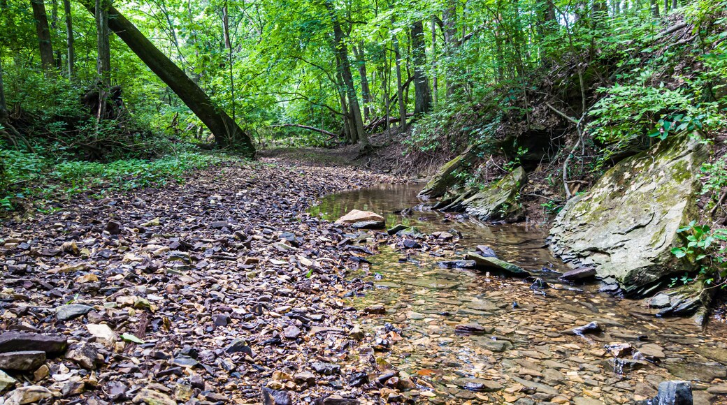 Beautiful small creek near Strawberry Ridge Nature Center.