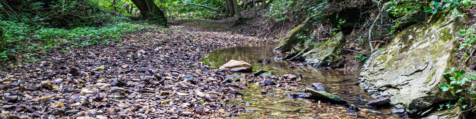 Beautiful small creek near Strawberry Ridge Nature Center.