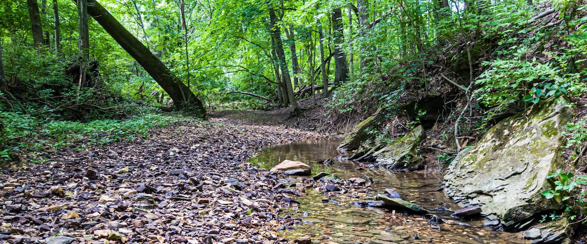Beautiful small creek near Strawberry Ridge Nature Center.