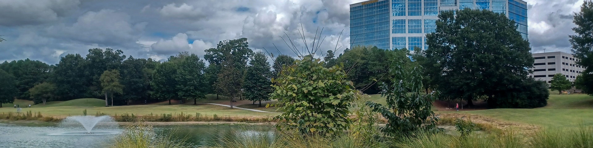 Um lago com uma fonte, cercado por grama e árvores, e um edifício moderno ao fundo.