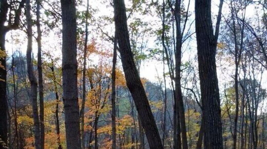 This is a great park with wonderful day hikes.