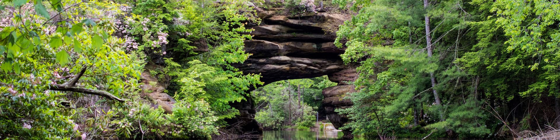 Tennessee Panorama. Natural arch formation surrounded by beautiful mountain laurel reflected in a lake. Pickett State Park.