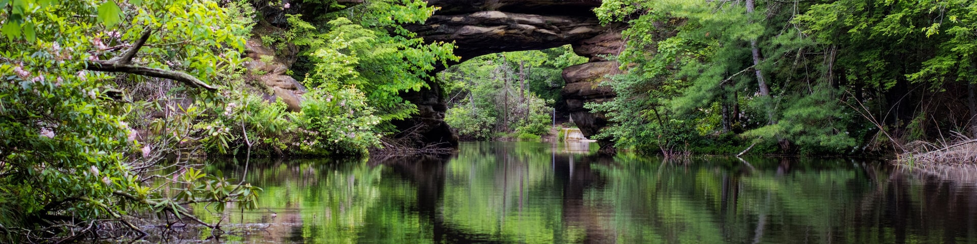A natural rock formation over a calm river surrounded by dense greenery.