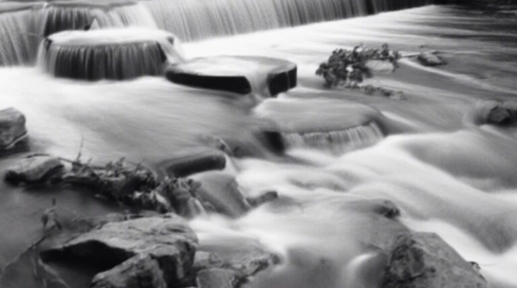 Found a wonderful gem right here in Denver! And it's right next to my house. No complaints here!