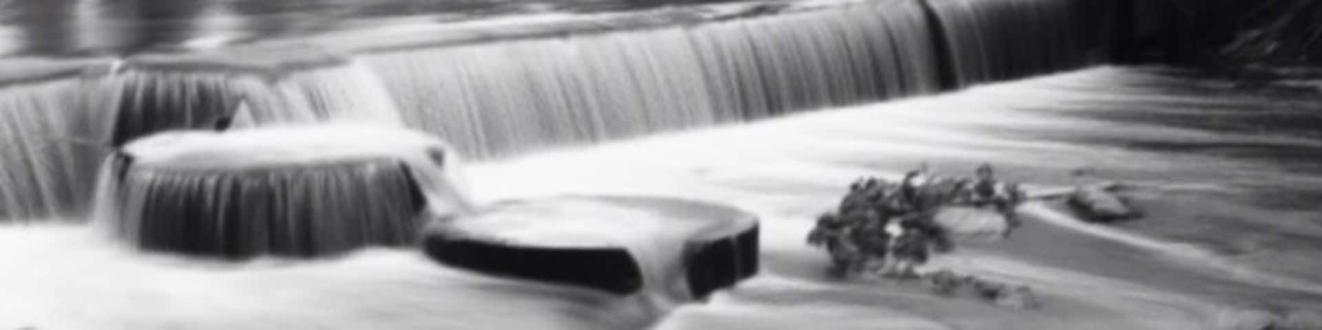 Found a wonderful gem right here in Denver! And it's right next to my house. No complaints here!