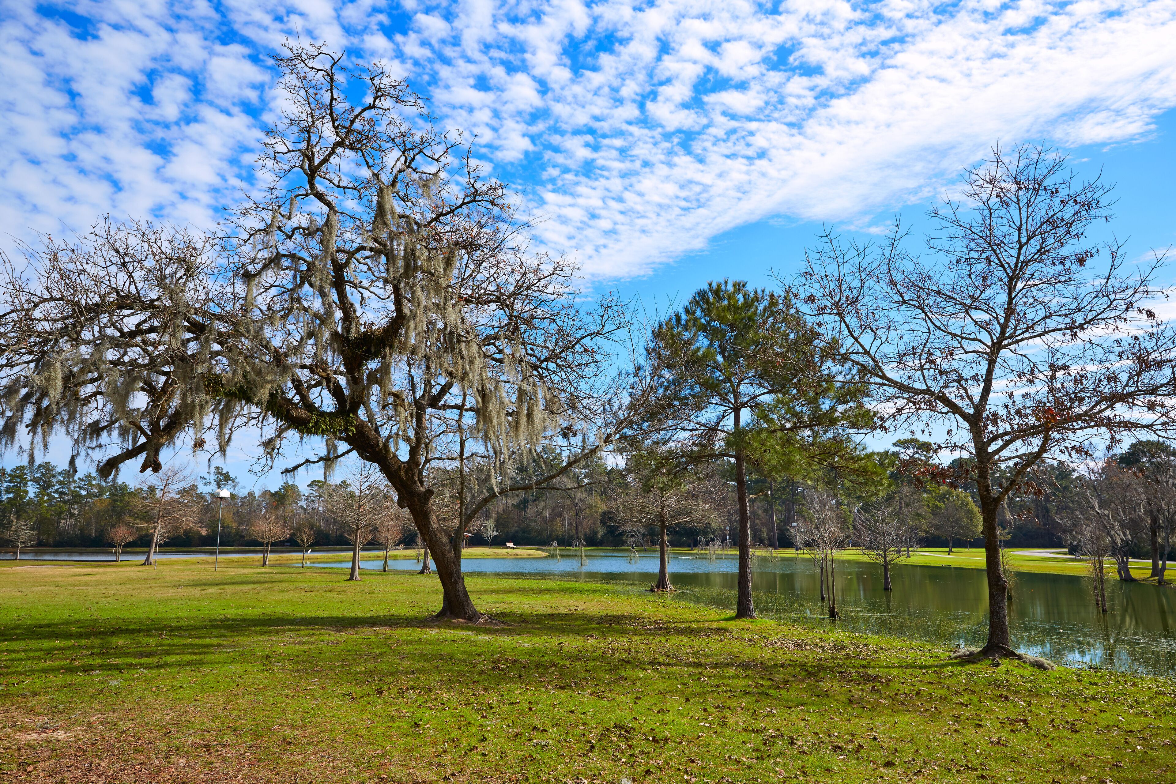 Tomball Burroughs park in Houston Texas