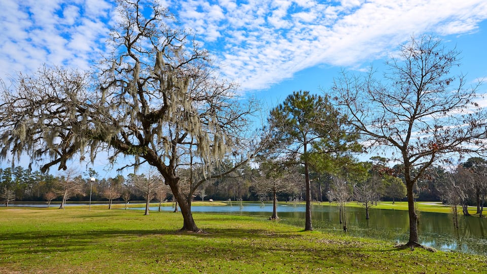 Tomball Burroughs park in Houston Texas