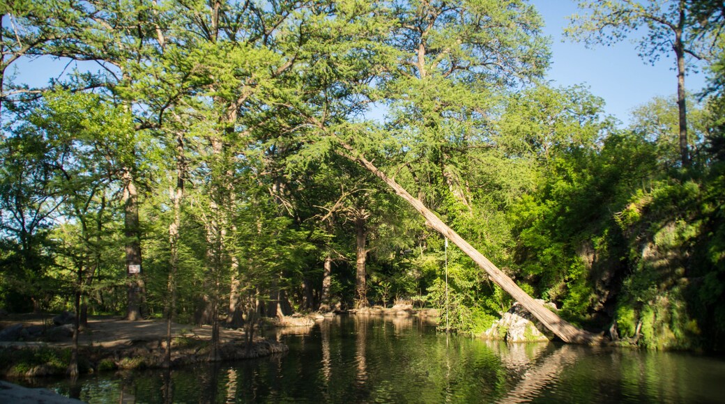 Krause Springs - Texas swimming hole
