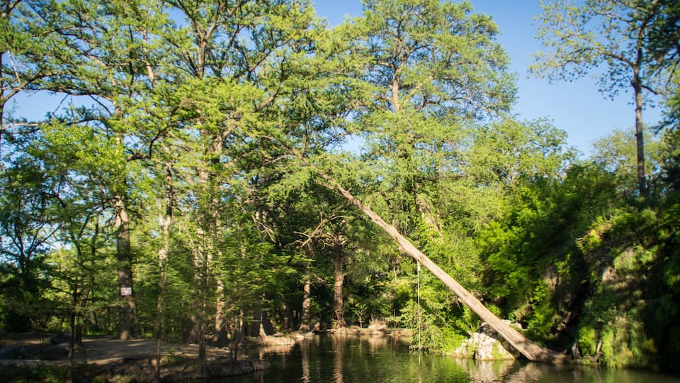 Krause Springs - Texas swimming hole