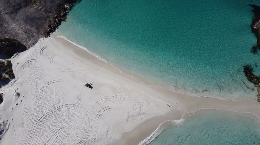 Aerial picture of Wylie bay in Esperance. Car parked on the beach. Blue and shallow water. Very beautiful and calm landscape. Driving on the sand in Australia.