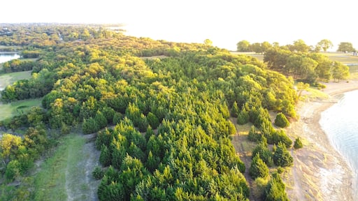 Aerial view lush green pine trees at Ticky Creek Park, northern end of Lake Lavon in Princeton, Texas, USA