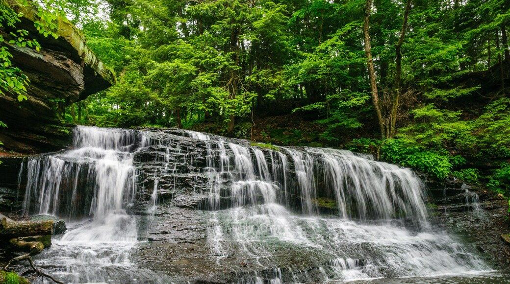 Springfield Falls