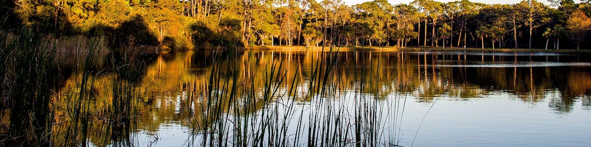 Seminole Lake Park in Seminole, Florida, Shutterstock ID 1027579723, Purchase Order: Wave 0 First Batch, Order Number: , Client/Licensee: Hotels.com / BEX, Other: Mixed Budget