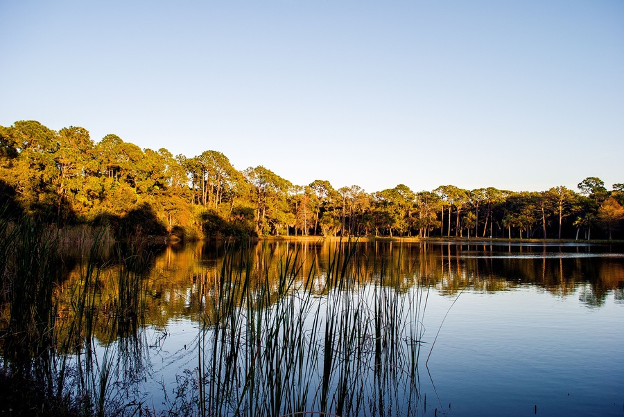 Seminole Lake Park in Seminole, Florida, Shutterstock ID 1027579723, Purchase Order: Wave 0 First Batch, Order Number: , Client/Licensee: Hotels.com / BEX, Other: Mixed Budget