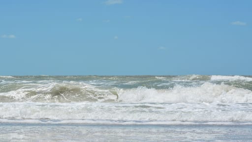 เซมิโนล