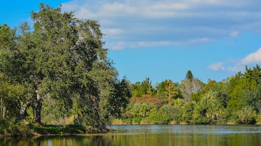 Beautiful view at Lake Seminole, Seminole, Florida