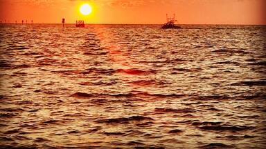 Floridaâs gulf coast has some of the most beautiful sunsets. This picture was taken at Hudson Beach, luckily the weather has been beautiful all weekend and we were able to enjoy blue skies these weekend. #floridasunset #hudsonbeach #gulfofmexico #floridalifestyle #beachbum