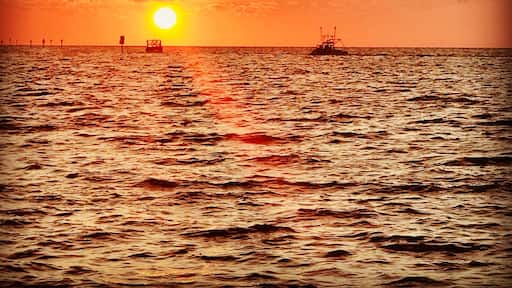 Florida’s gulf coast has some of the most beautiful sunsets. This picture was taken at Hudson Beach, luckily the weather has been beautiful all weekend and we were able to enjoy blue skies these weekend. #floridasunset #hudsonbeach #gulfofmexico #floridalifestyle #beachbum