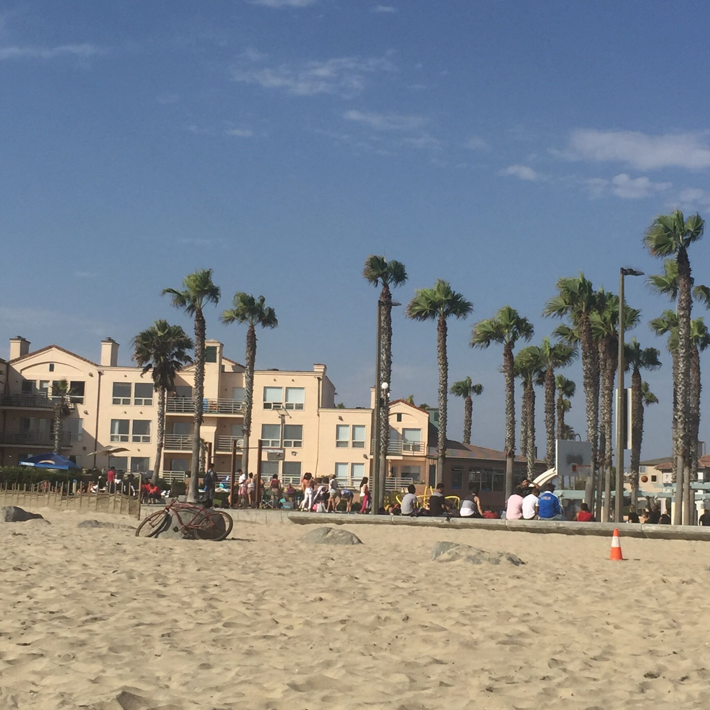 #dunespark #travelbug #sandiego #imperialbeach #socal #california #usa #wanderlust #wayfarer #gadabout #nomadlife #beach #palmtrees