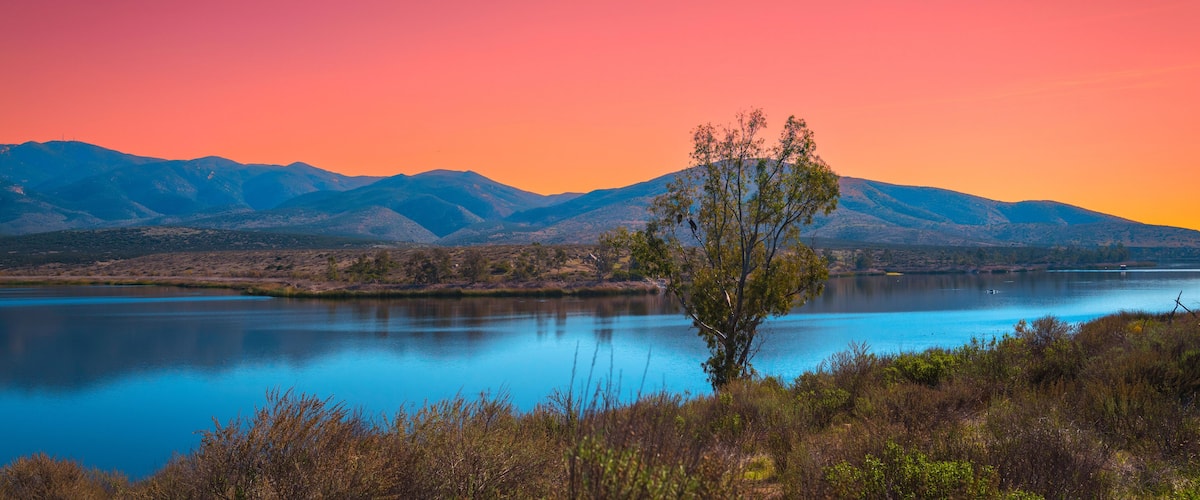 Southern California Nature Winter Landscape Series, two bold eagles sitting on the tree at Lower Otay Lake in Chula Vista, USA