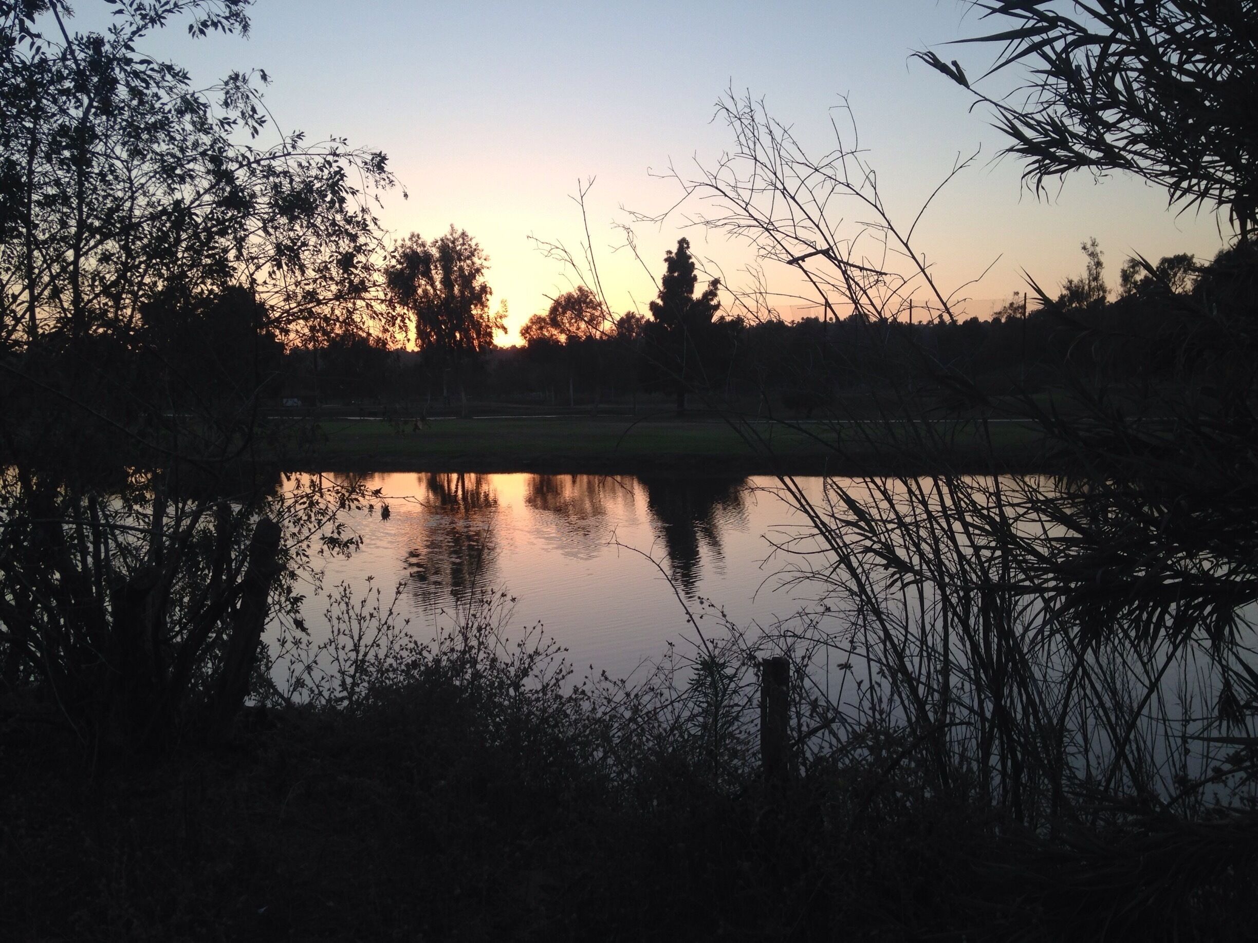 #goldenhour at Bonita, CA golf club. 