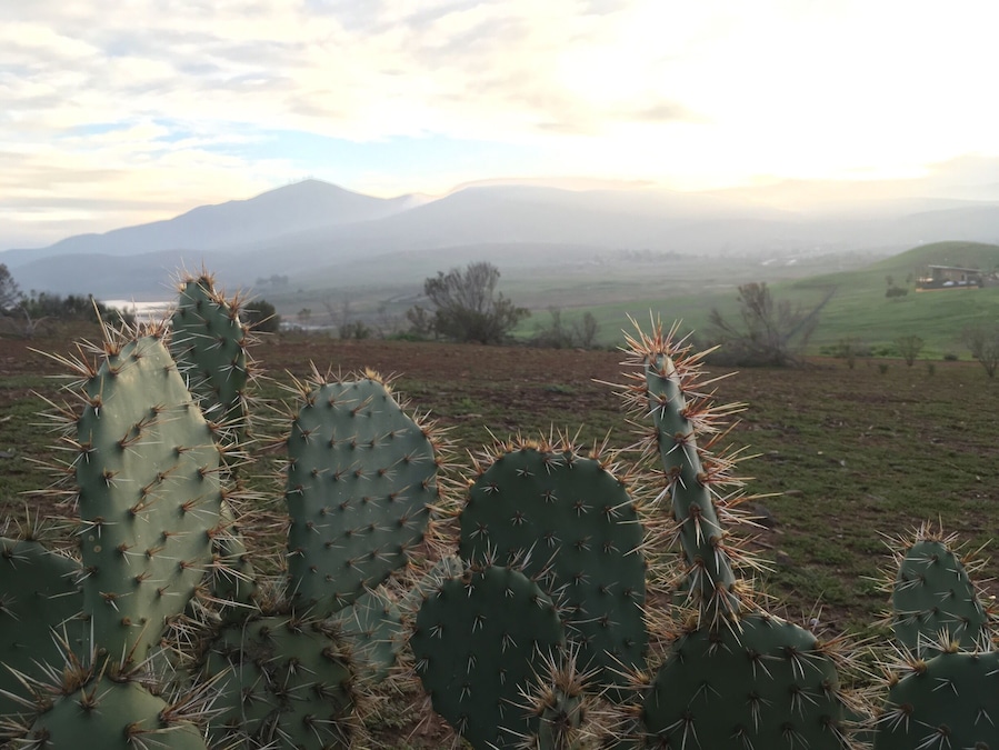 #neverstopexploring #morningrun