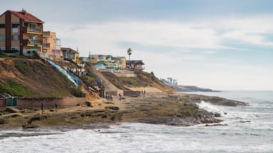 Ocean Beach showing general coastal views and a coastal town