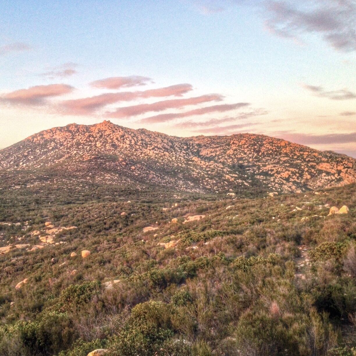 Another view of my fav San Diego city hike, from a different trail than the usual  