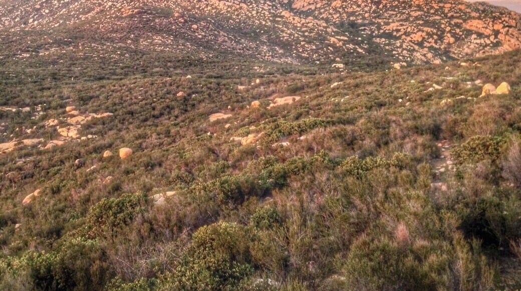 Another view of my fav San Diego city hike, from a different trail than the usual