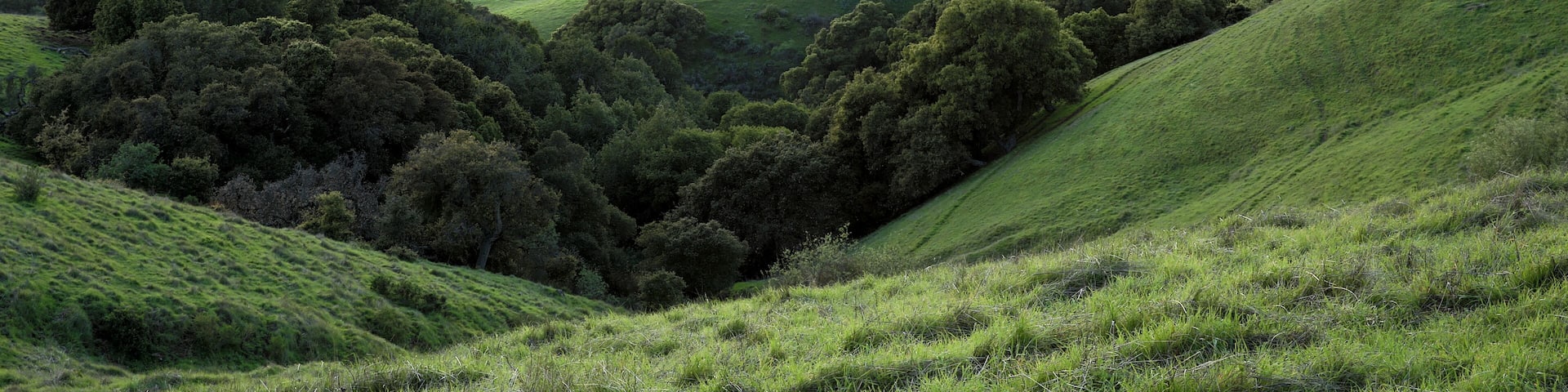 Sunset over San Francisco Bay Area. Springtime Sunset at Garin-Dry Creek Pioneer Regional Parks, San Francisco East Bay, California, USA.