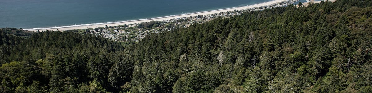 Seen from hiking trails in the hills, the gentle curve of Stinson Beach, just north of San Francisco, California, stretches northward on a sunny day