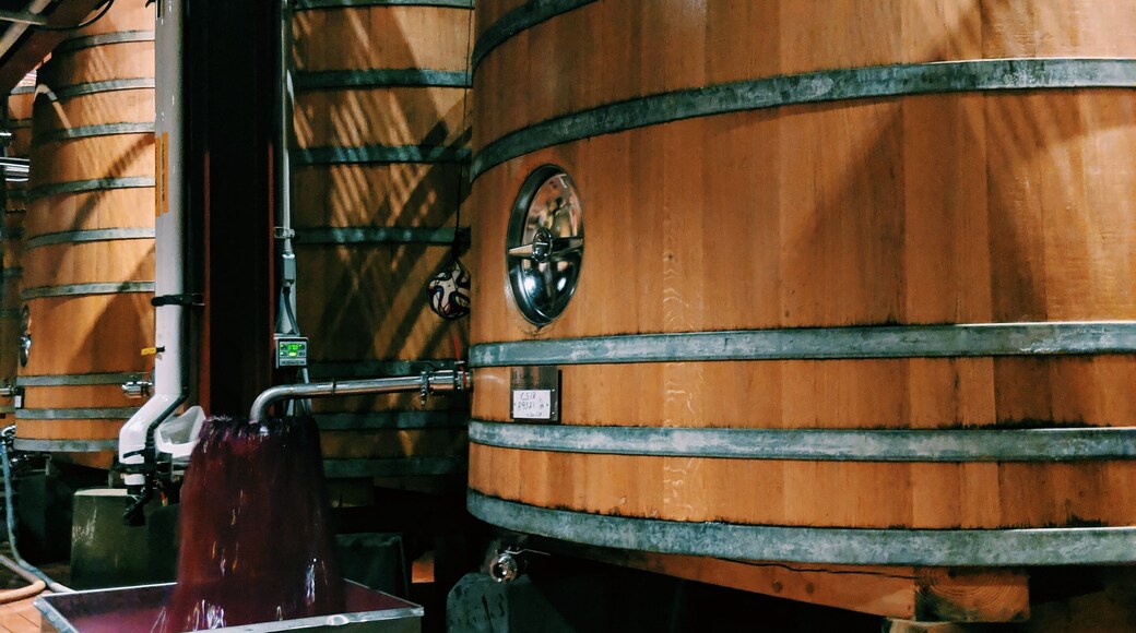 The wine fountain, an essential part of the wine-making process at Robert Mondavi.
In 1996, Mondavi opened his winery in the hopes of producing wine that would be some of the best in the world. Previously, he had worked with his brother and father at another winery in California, but split off to form his own after disagreements on vision.
#culture