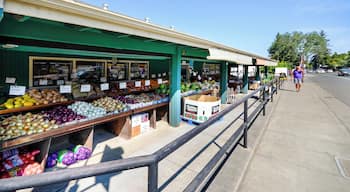 ボイズ ホット スプリングス