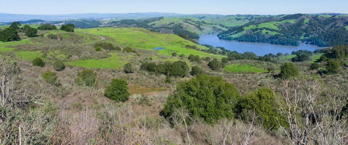 View towards Wildcat Canyon Regional Park and San Pablo Reservoir, Contra Costa County, San Francisco bay, California