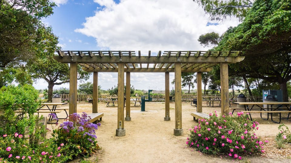 A wooden pergola with benches, surrounded by flowering plants and trees.