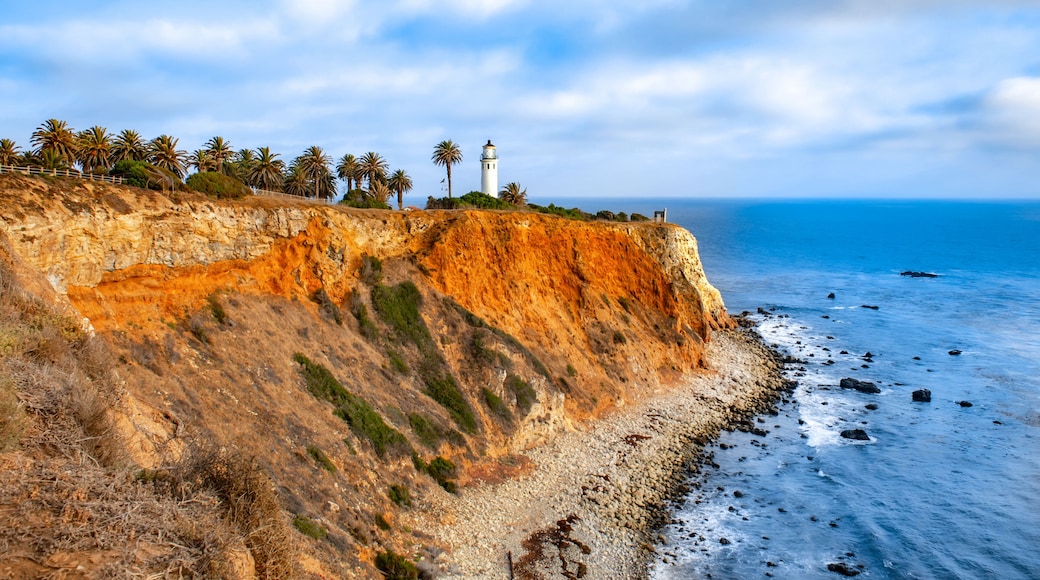 蘭喬帕洛斯弗迪斯