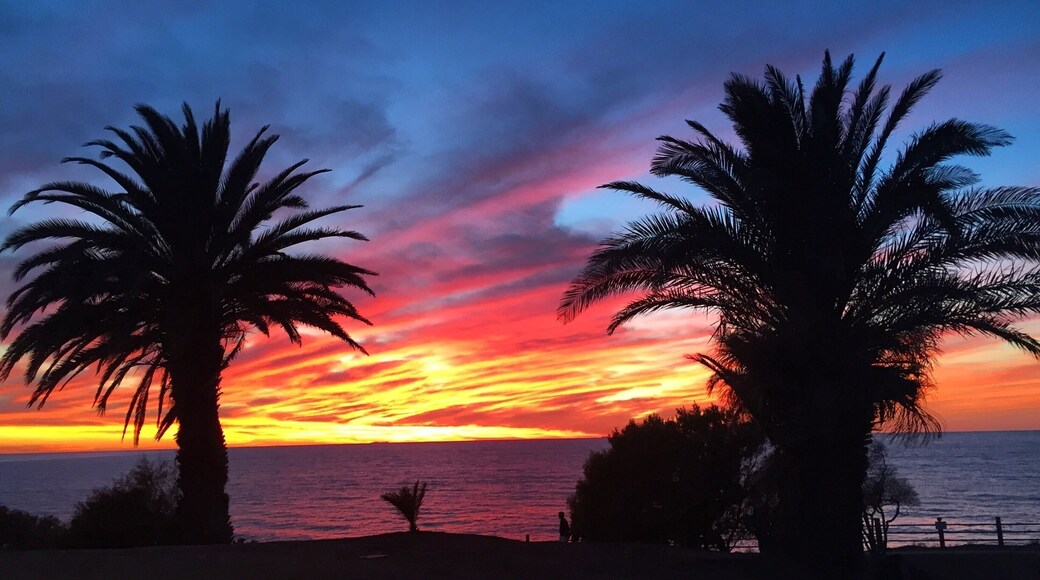 Point Vicente Park. Rancho Palos Verdes, CA. December 20, 2015.