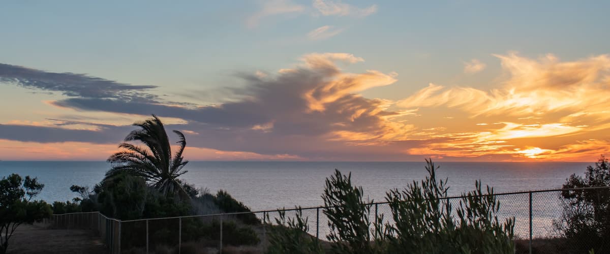 A lighthouse, palm trees, and a sunset over the ocean.