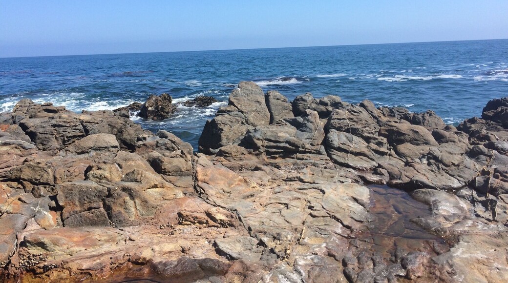 Hiked along the beach to get to the channels to jump off the rocks. Went with an infant walked the upper trails (lots of steeper parts and walked along the road part of the time). If the surf is harsh then it's dangerous to jump, but high tide was nice today.