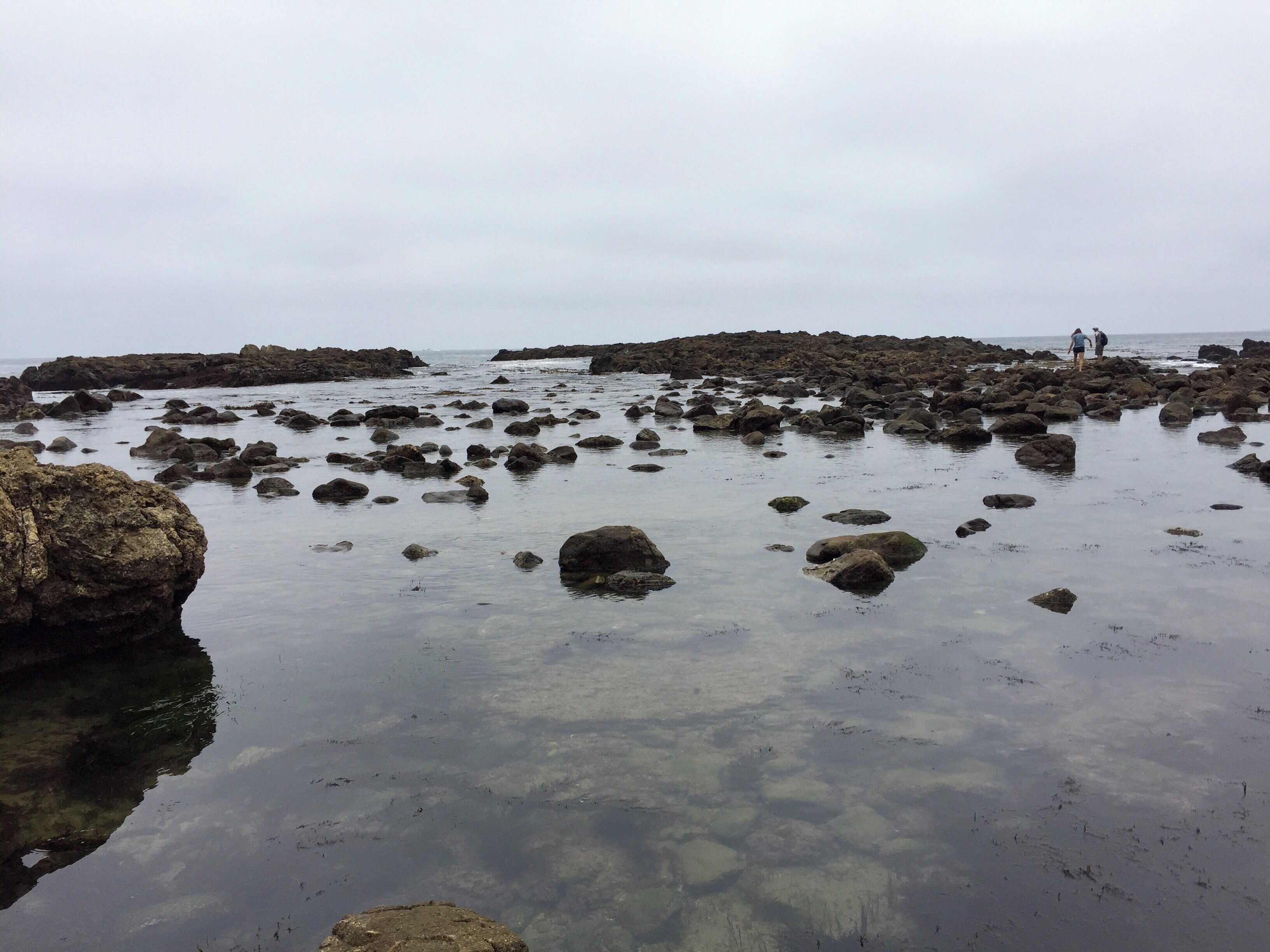 Checking out the tide pools at Abalone Cove. Always good to go at low tide, so check the tide schedule before going.