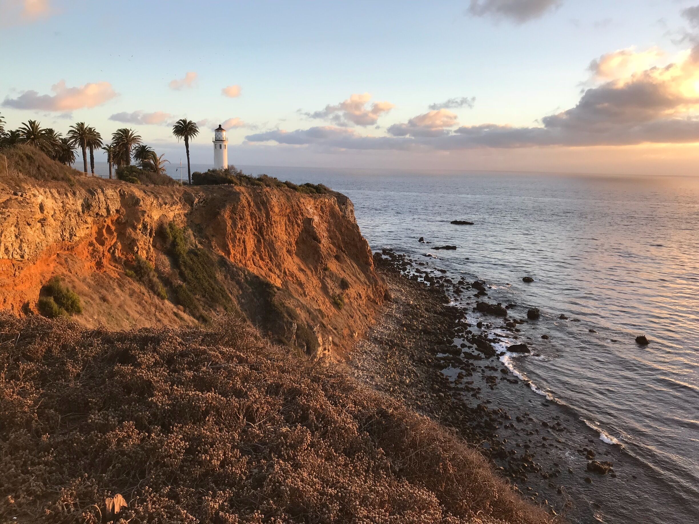 A coastal landscape with a lighthouse, rocky cliffs, and palm trees.