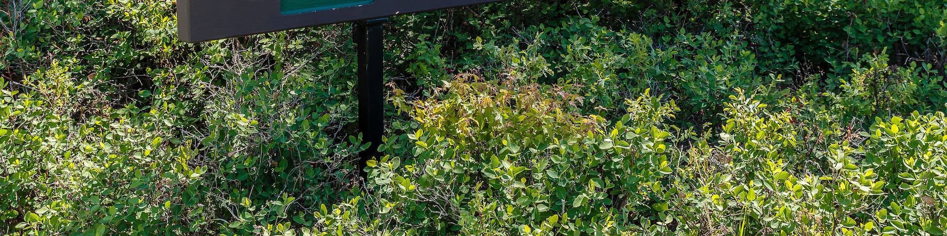 Lakewood Park in the city of Saskatoon, Canada