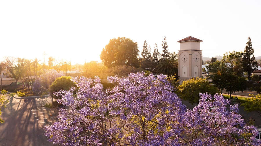 Sunset aerial view of the public clock tower of downtown La Habra, California, USA.