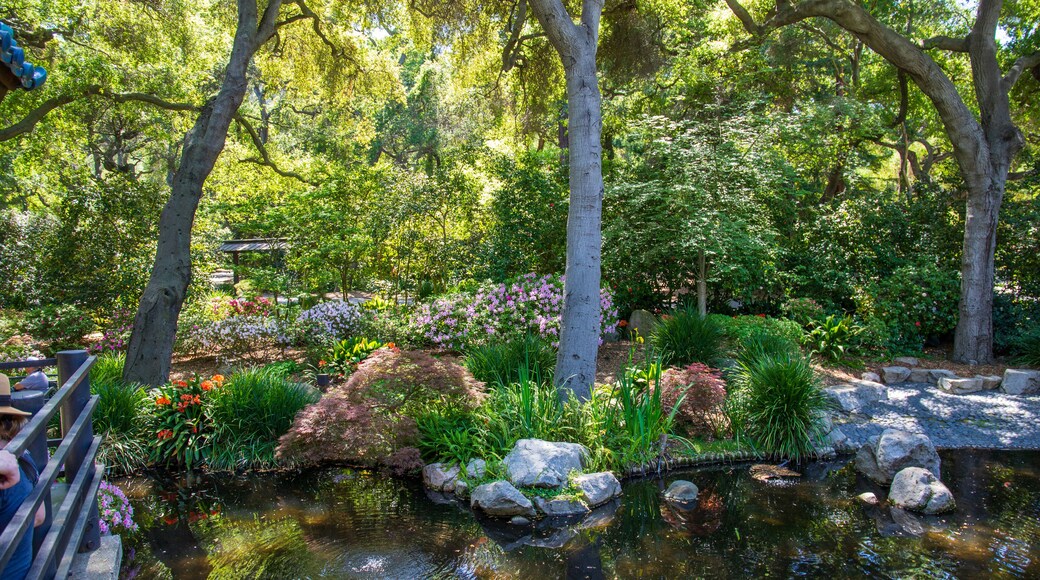 ลาแคนาดา ฟลินต์ฟริดจ์