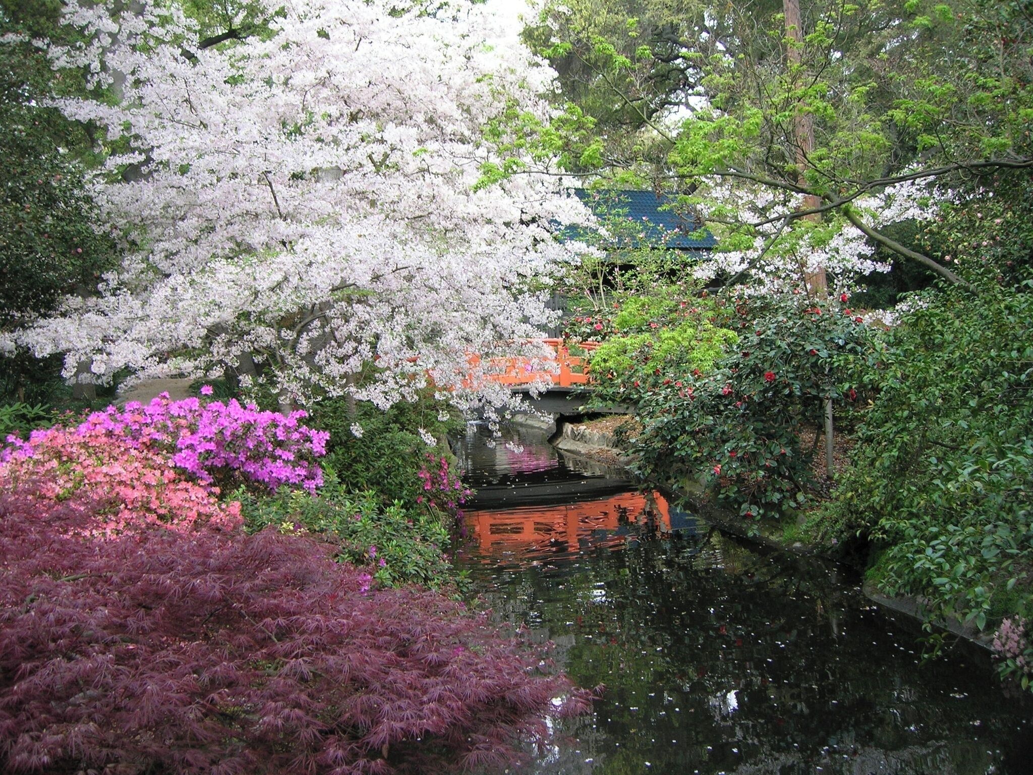Japanese Garden--Descanso Gardens; outside of Los Angeles, California